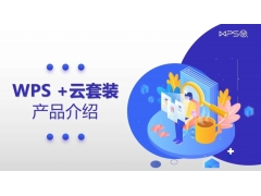 WPS+云套装标准协作版三年授权（政府）