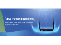 深信服SDW-R-B1080D-LTE安智路由器